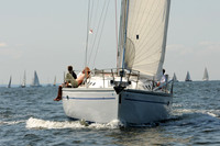 2011 Vineyard Race A 230