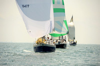 2014 Cape Charles Cup A 730