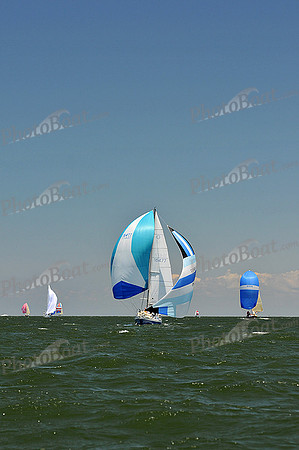 2014 Southern Bay Race Week C 2086