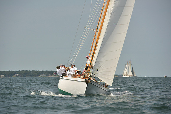 2018 Vineyard Cup A_0334