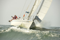 2015 Vineyard Race A 596