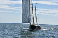2019 Denmark Race_2148