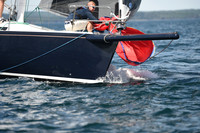 2016 Chester Race Week A_0146