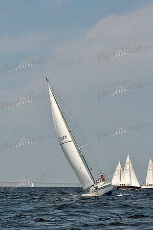 2013 Gov Cup A 534