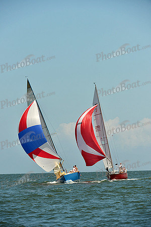 2015 Southern Bay Race Week C 1530