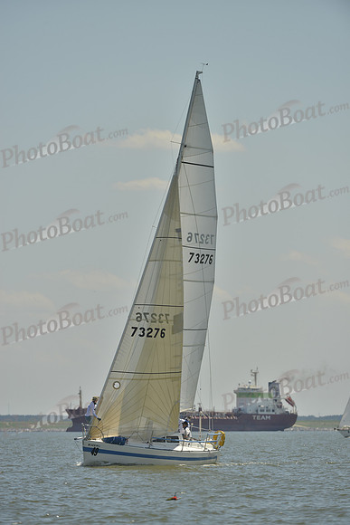 2017 Southern Bay Race Week A_2372