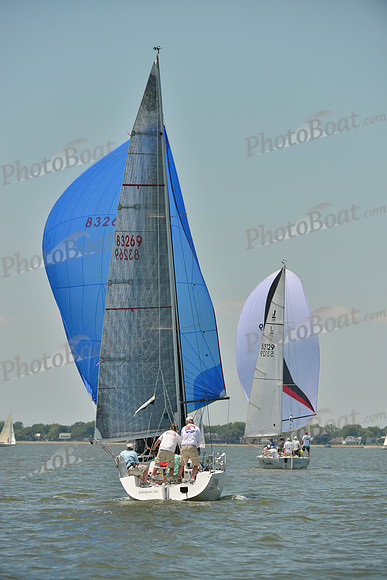 2017 Southern Bay Race Week A_1487