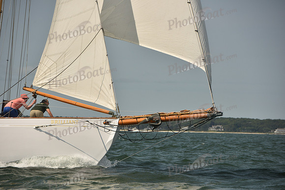 2018 Vineyard Cup A_0249