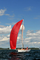 2010 IRC LIS 1313