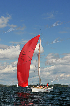 2010 IRC LIS 1313