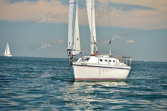 2015 Cape Charles Cup C 363