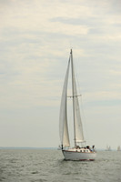 2014 Cape Charles Cup B 525