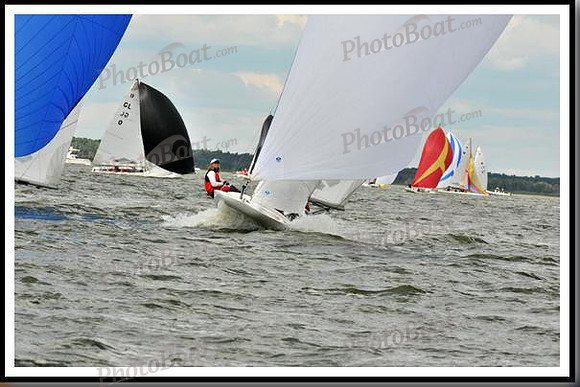 proof_2010_EScows_B 477