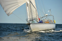 2015 Vineyard Race C 563