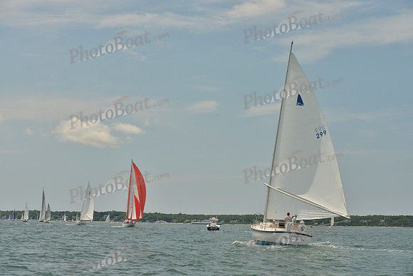 2018 Vineyard Cup B_0132