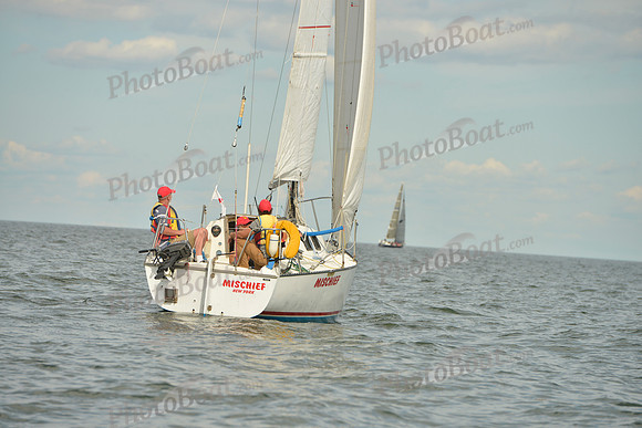 2016 Vineyard Race A_1438