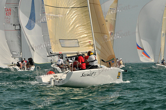 2011_KeyWestRaceWeek_F 1131