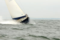 2012 Cape Charles Cup A 242