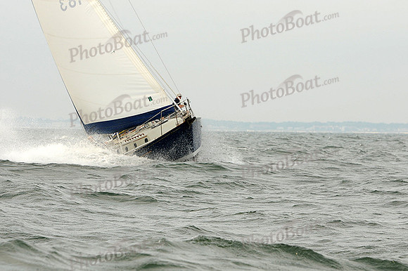 2012 Cape Charles Cup A 242