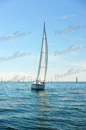 2015 Cape Charles Cup B 243