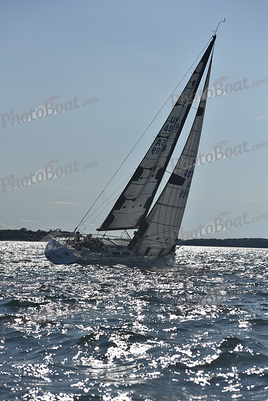 2021 Vineyard Race B 1881