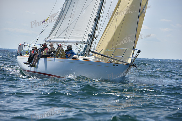 2019 Marblehead to Halifax A_1324
