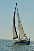 2017 St Petersburg Habana Race_1397