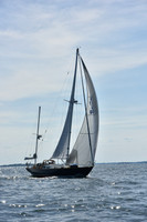 2019 Marblehead to Halifax A_2053