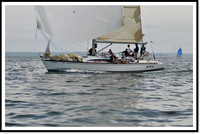 proof_2010 Block Island Race 528