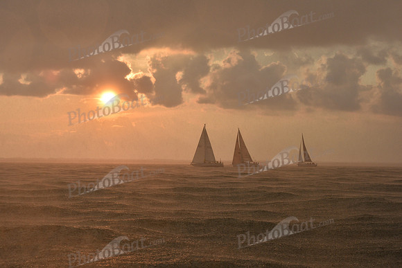 2019 Gov Cup A_3327