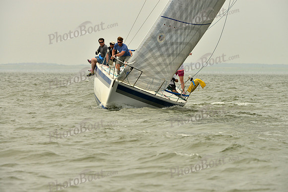 2016 Southern Bay Race Week A_0476