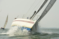 2015 Vineyard Race A 646