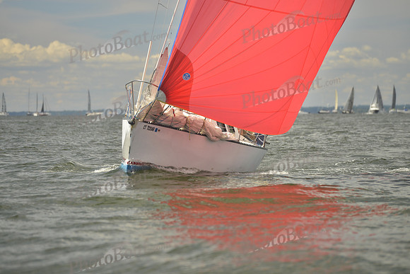 2016 Vineyard Race A_0365