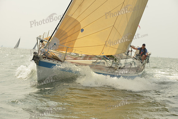 2015 Vineyard Race A 1486