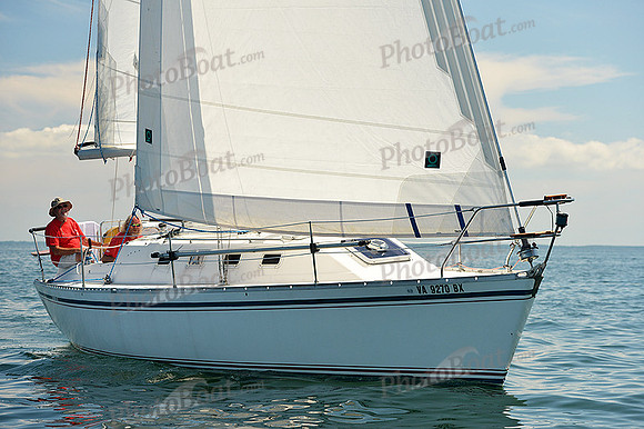 2015 Cape Charles Cup C 371