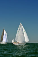 2013 Southern Bay Race Week C 1105
