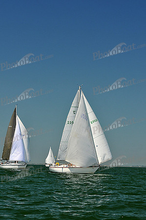 2013 Southern Bay Race Week C 1105