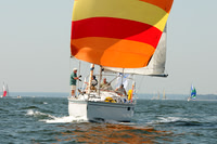 2012 Vineyard Race A 264