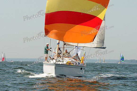 2012 Vineyard Race A 264