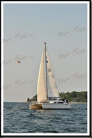 proof_2010 Gov Cup C 765