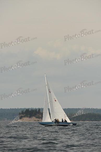 2016 Chester Race Week C_1050