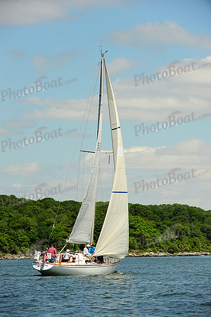 2014 NYYC Annual Regatta C 314