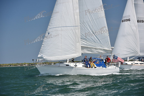2019 Figawi_0867