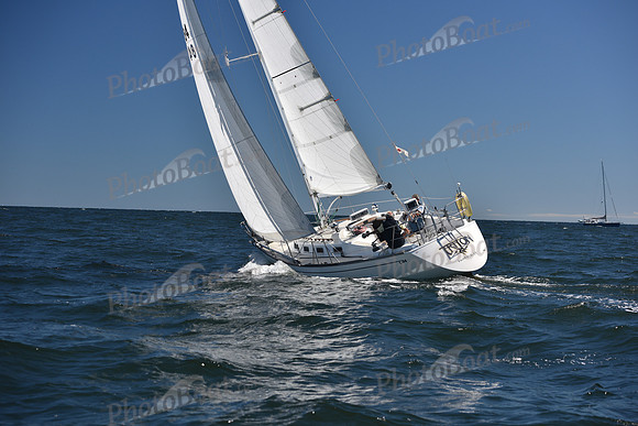 2022 Vineyard Race A_0256