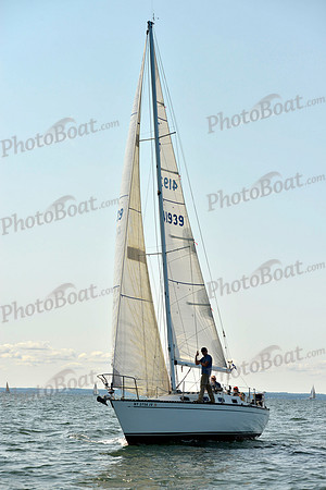 2017 Stamford Denmark Race_0269