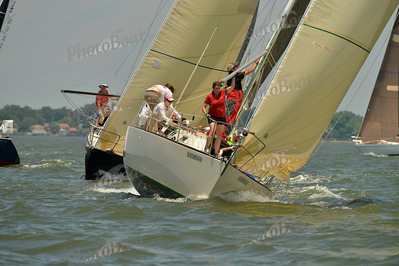 2016 Southern Bay Race Week F_1067