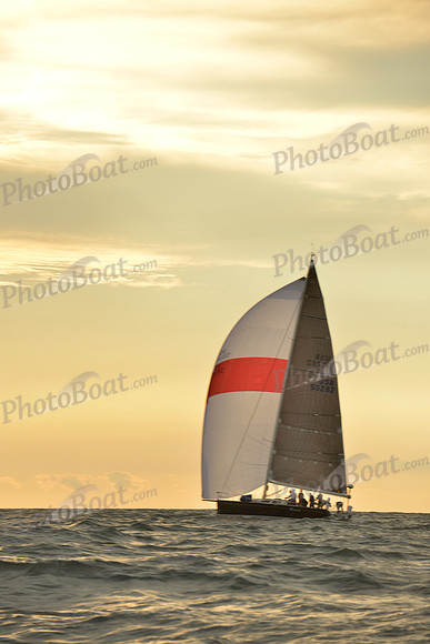2016 Vineyard Race B_0917