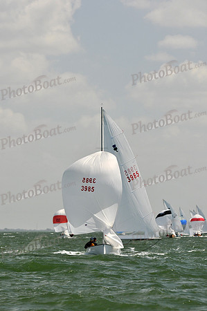 2012 Thistle Midwinters B 1251