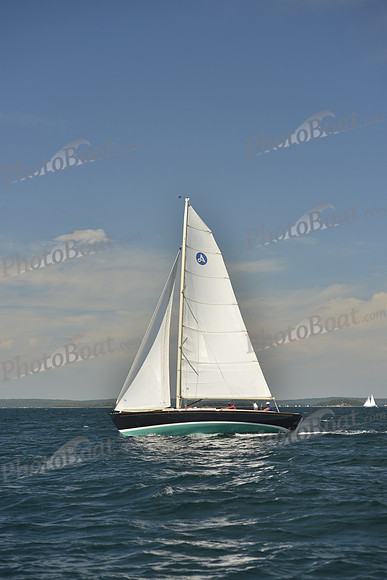 2016 Chester Race Week B_0085