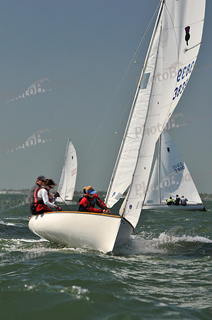 2012 Thistle Midwinters C 205